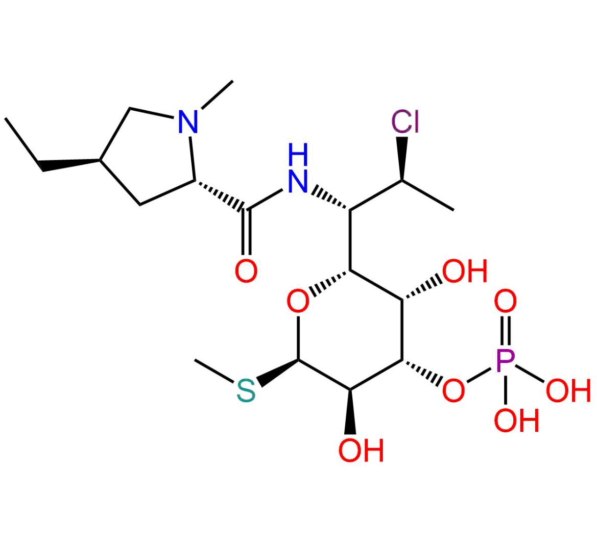 CLINDAMYCIN B 3-PHOSPHATE